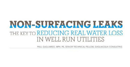Non-Surfacing Leaks: The Key to Reducing Real Water Loss In Well Run Utilities